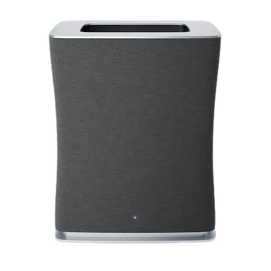 Luftreiniger Roger big, schwarz