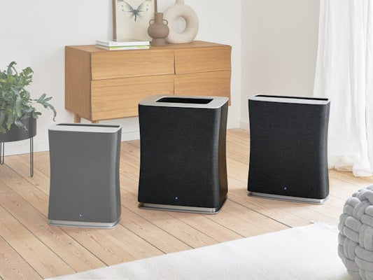 Dual-H12-Filter für Roger +Roger big: HEPA und Aktivkohle