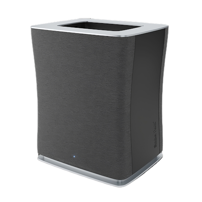 Luftreiniger Roger big, schwarz