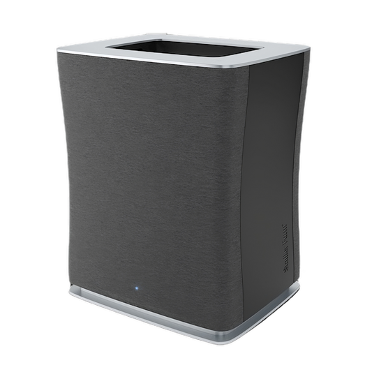 Luftreiniger Roger big, schwarz