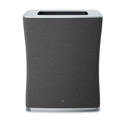 Luftreiniger Roger big, schwarz