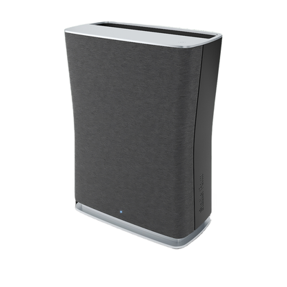 Luftreiniger Roger little, schwarz