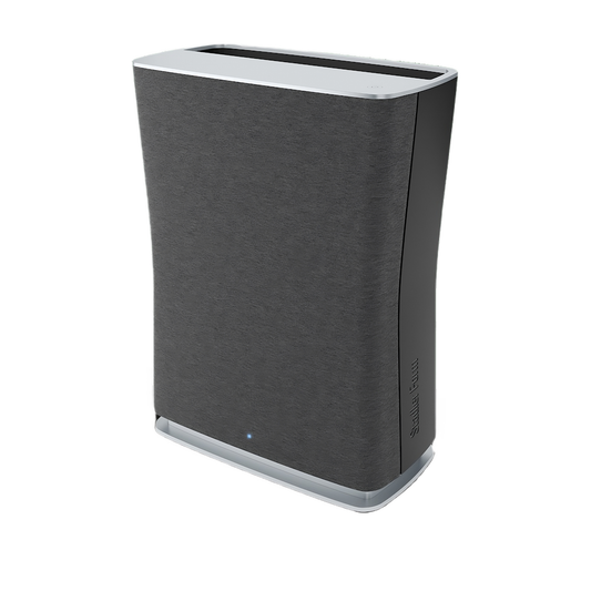 Luftreiniger Roger little, schwarz