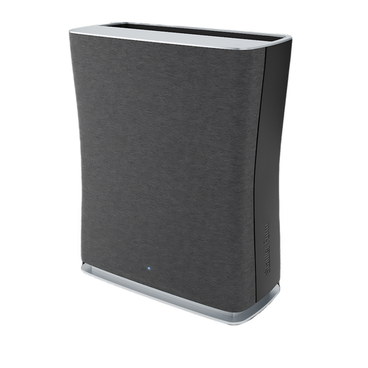 Luftreiniger Roger, schwarz