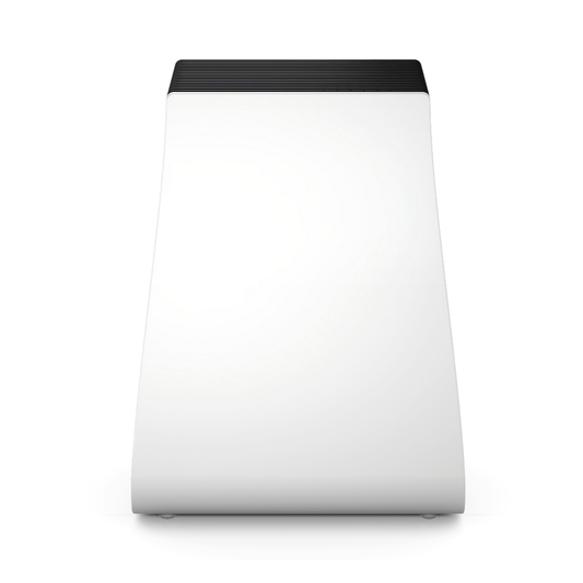 Luftwäscher George (2 in 1)