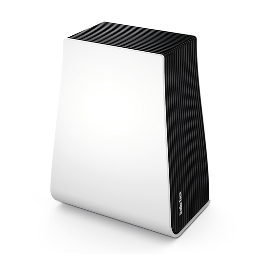 Luftwäscher George (2 in 1)