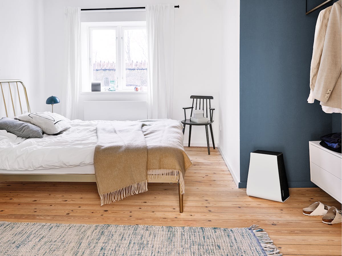 Luftwäscher George (2 in 1)